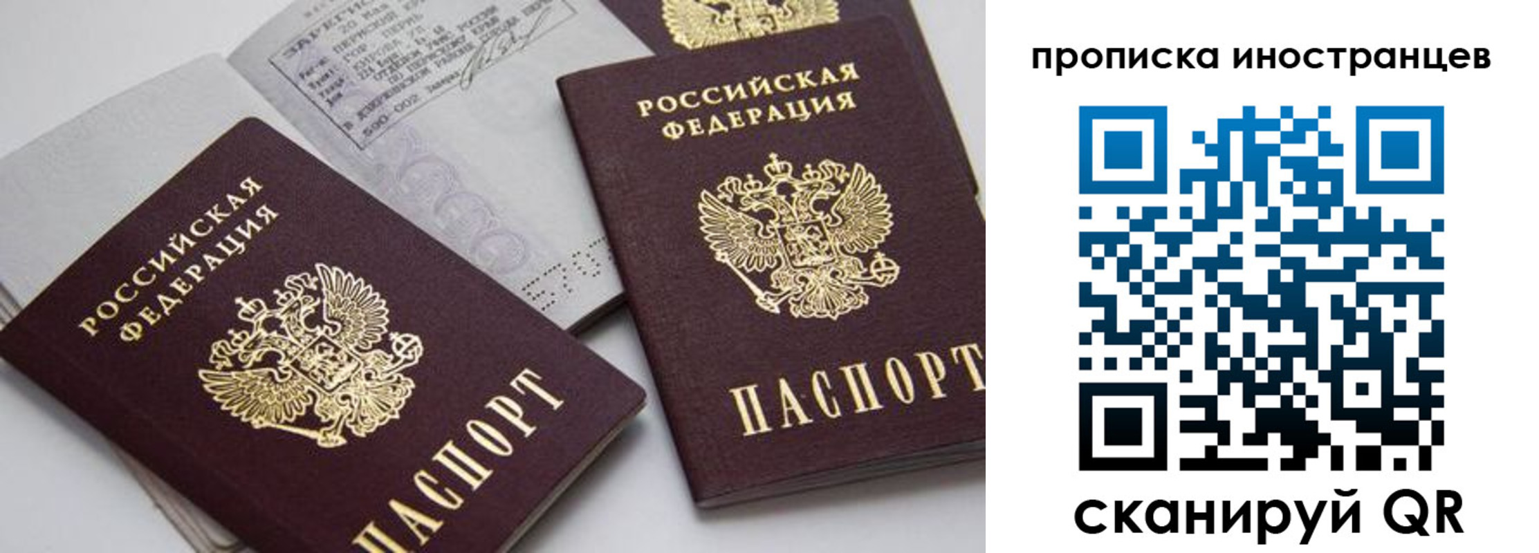 прописка законно в Рязани